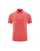 2023 New Polo shortsleeve R509
